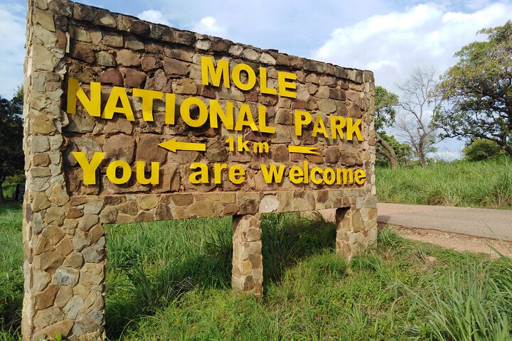 4 days (3 night) Ghana Elephants & Hippos Private Safaris
