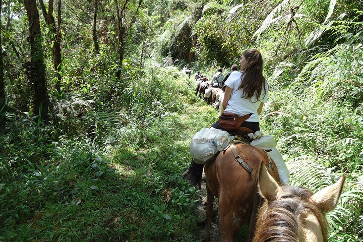 2D/1N Private Culture & Archaeological Tour in San Agustin