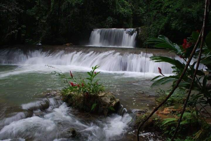 Appleton Estate YS Falls & Black River from Montego Bay or Negril