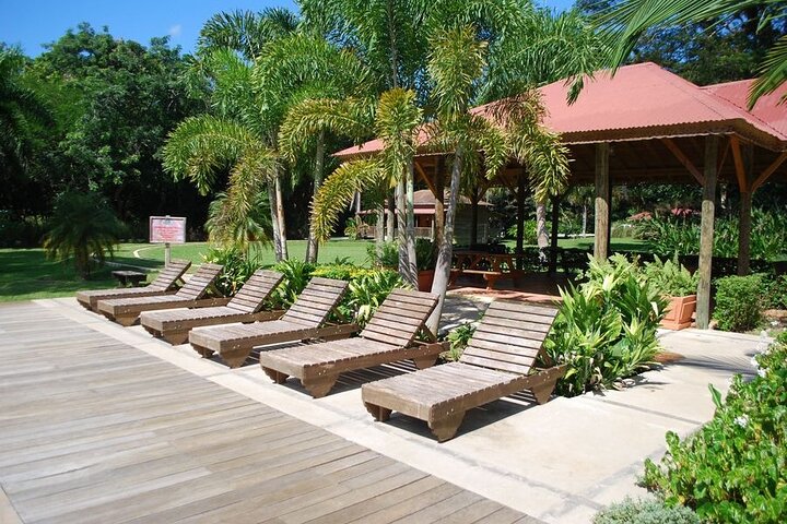 Appleton Estate YS Falls & Black River from Montego Bay or Negril