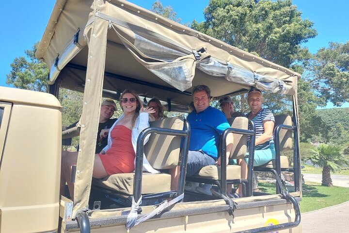 Private Beach Lodge and Giraffe Interaction for Cruise ship Guest