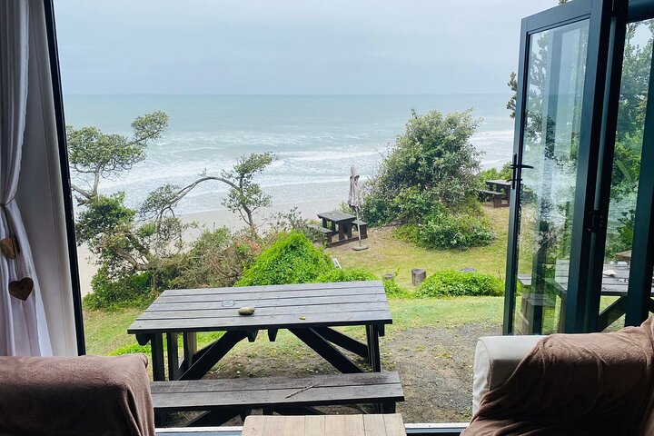 Private Beach Lodge and Giraffe Interaction for Cruise ship Guest