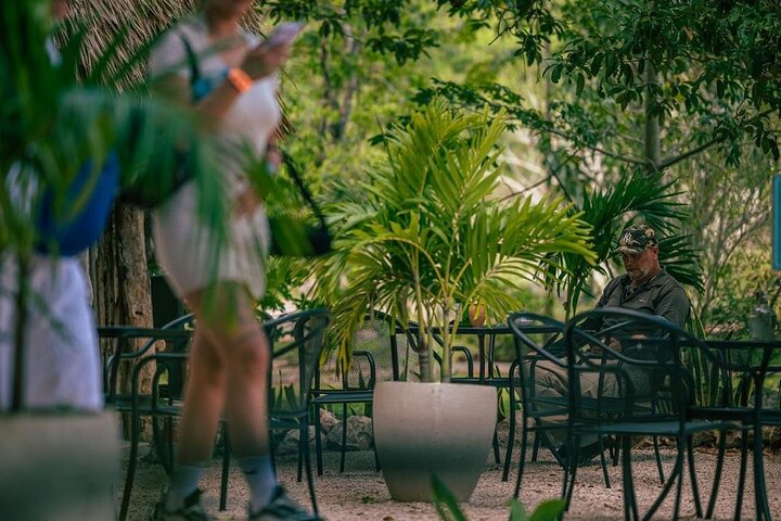 Full Day Tour Chichen Itza plus Cenotes From Valladolid