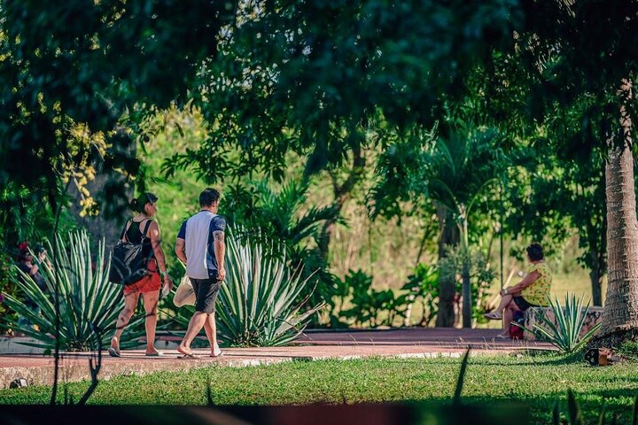 Full Day Tour Chichen Itza plus Cenotes From Valladolid