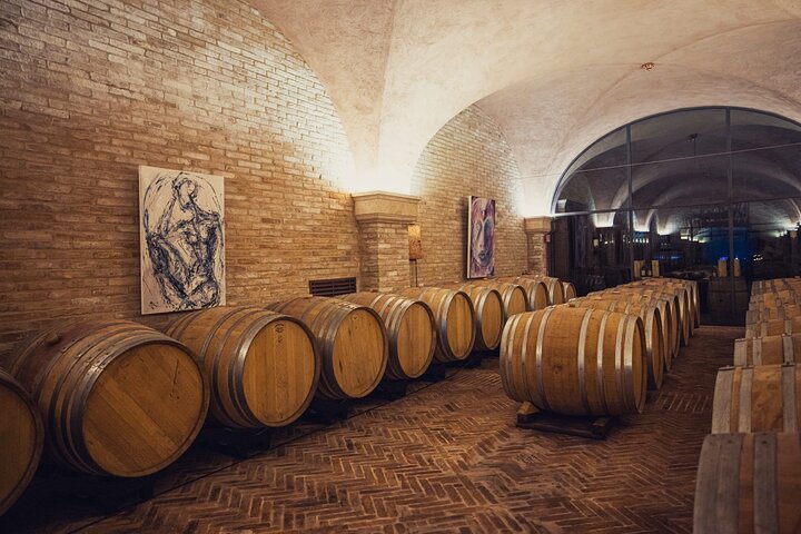 2 Hours Visit and Wine Tasting with tastings in Val D'Orcia