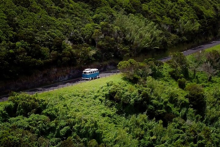 Half-Day VW Samba Private Bus Tour around Faial Island