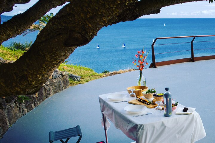 Half-Day VW Samba Private Bus Tour around Faial Island