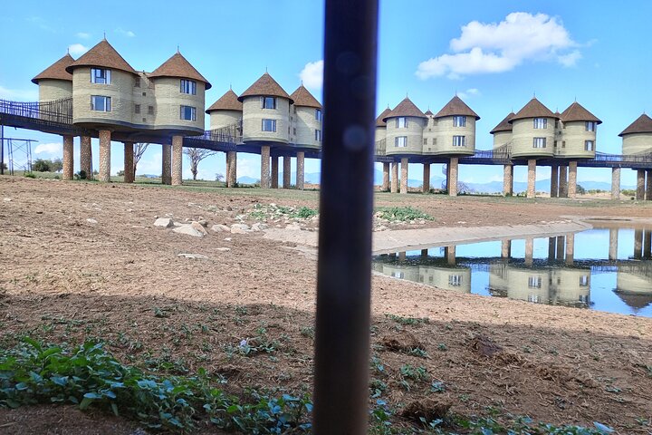 Tsavo East & Taita Salt Lick Lodge: 3-Day Guided Safari Adventure