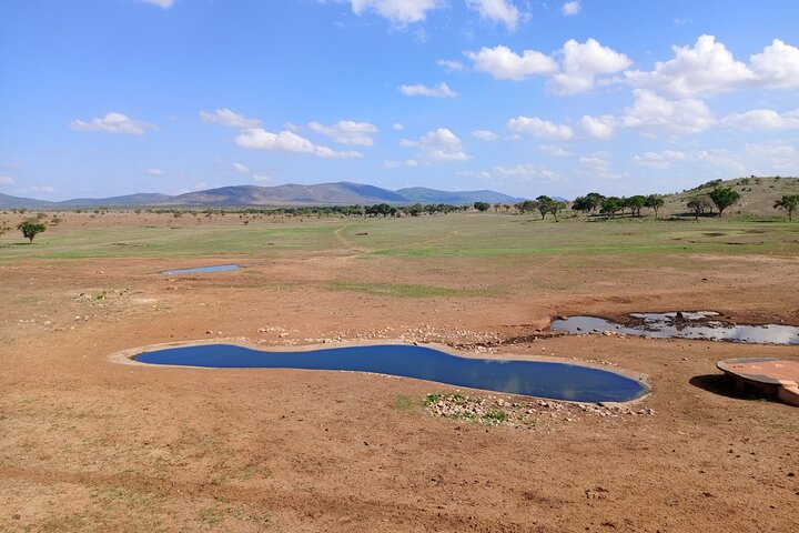 Tsavo East & Taita Salt Lick Lodge: 3-Day Guided Safari Adventure