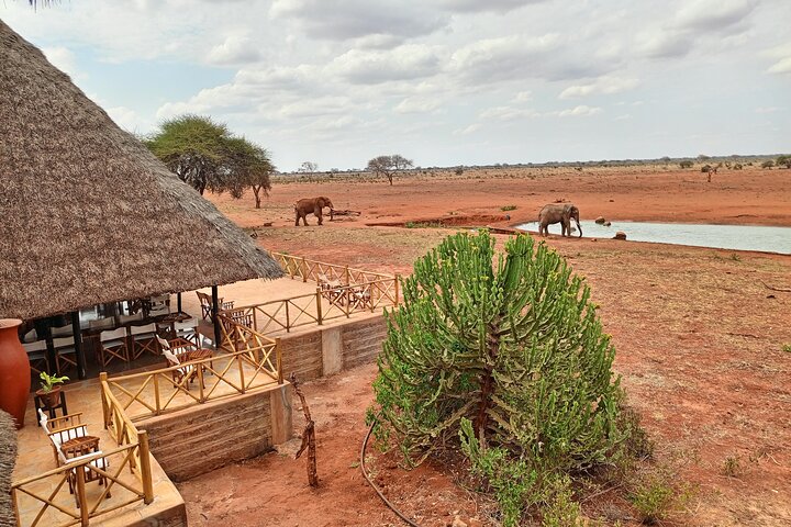 Tsavo East & Taita Salt Lick Lodge: 3-Day Guided Safari Adventure