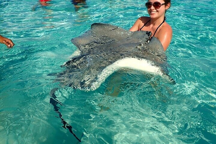 Stingrays, Starfish and Crystal Cave Adventure