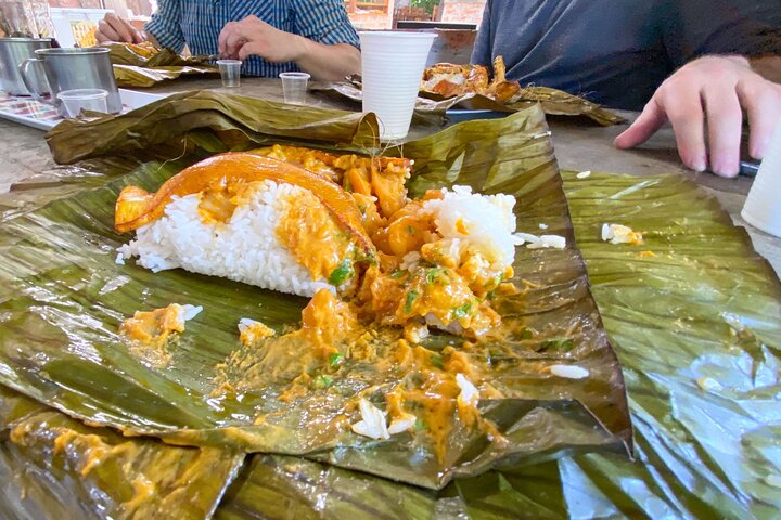 The rain forest, surroundings & lunch.