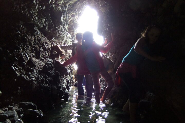 Pirate Sea Cave Tide Pool Walk at Dana Point