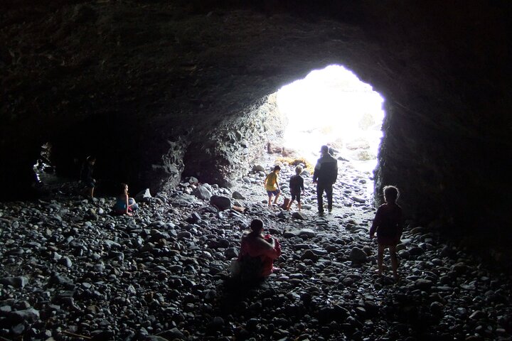 Pirate Sea Cave Tide Pool Walk at Dana Point