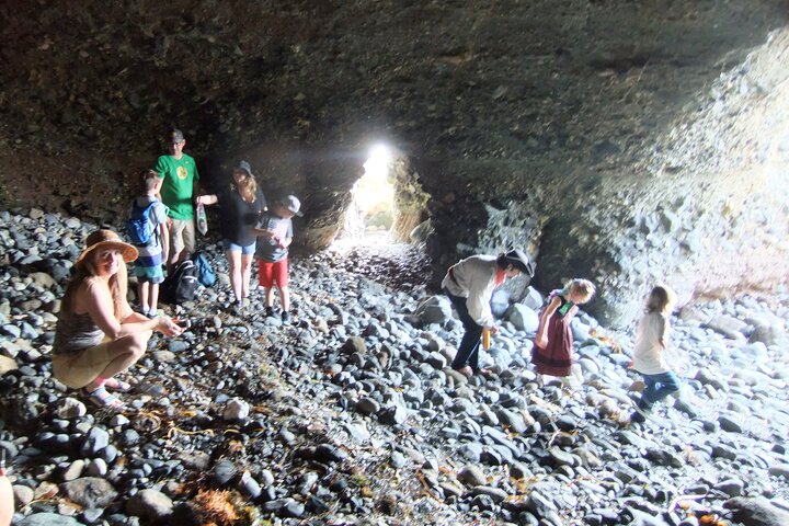 Pirate Sea Cave Tide Pool Walk at Dana Point