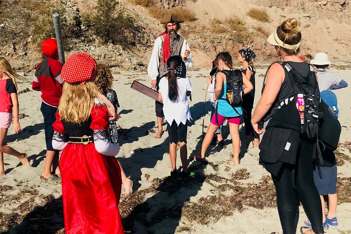 Pirate Sea Cave Tide Pool Walk at Dana Point