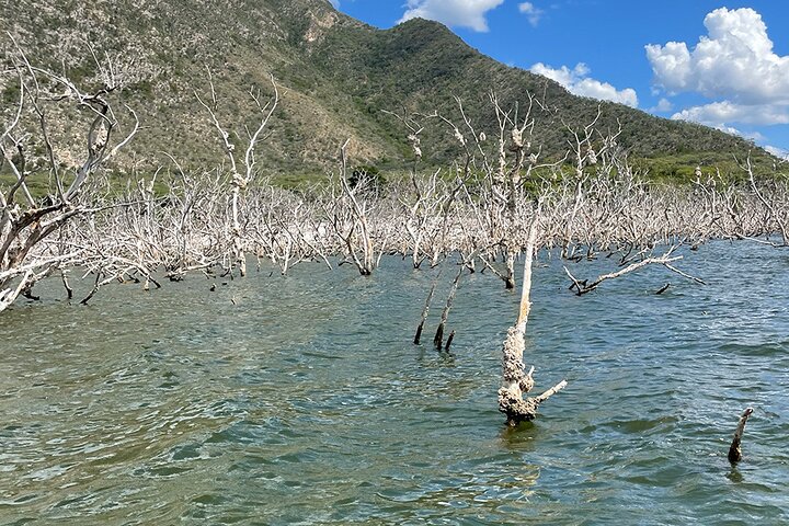 Private Tour with Crocodile Sighting in Lake Enrriquillo