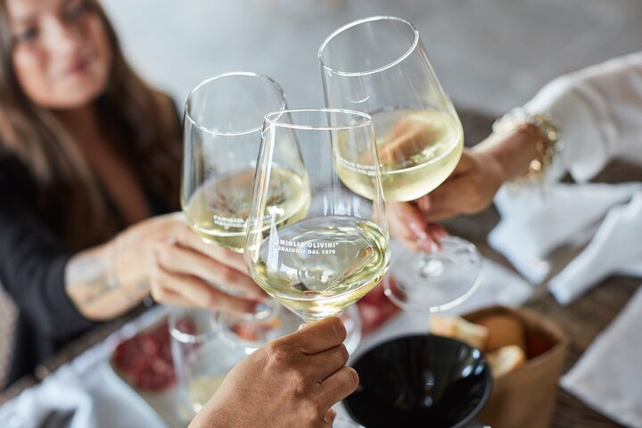 Wine Tour and Tasting of Lugana Wines near Sirmione