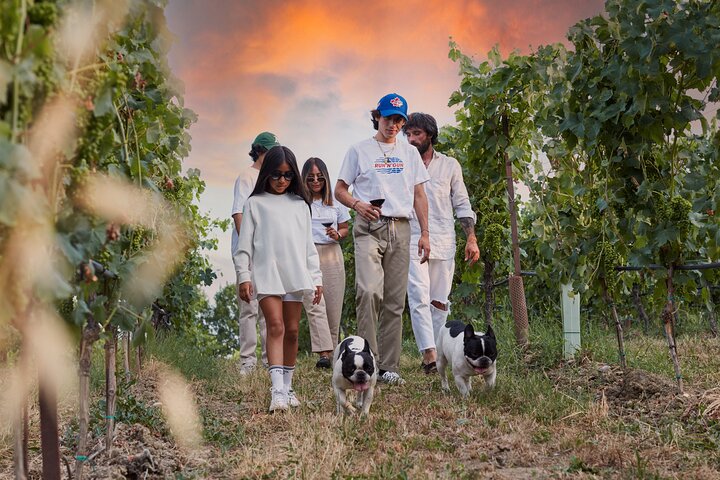 Wine Tour and Tasting of Lugana Wines near Sirmione
