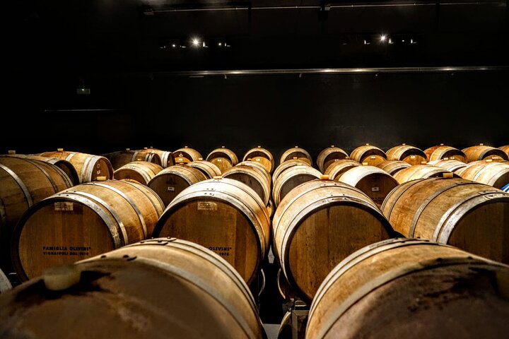Wine Tour and Tasting of Lugana Wines near Sirmione