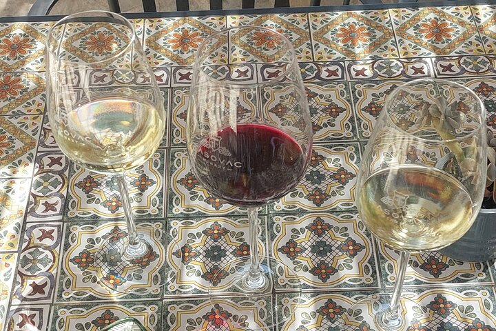 Korčula for Wine Lovers - Pošip and Grk Wines Private Tour