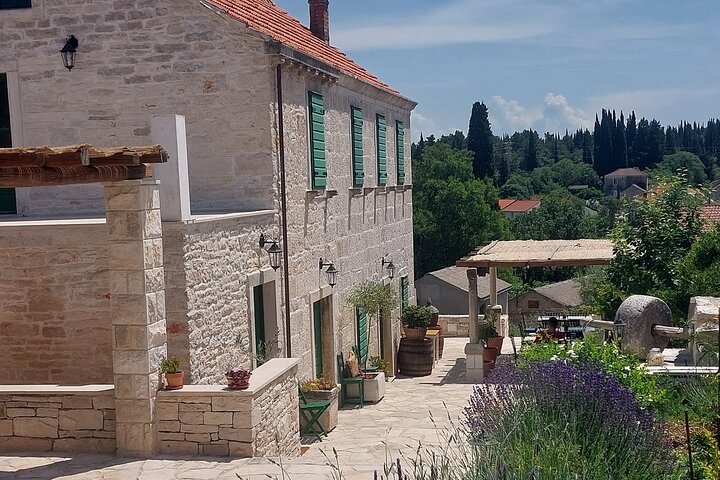 Korčula for Wine Lovers - Pošip and Grk Wines Private Tour