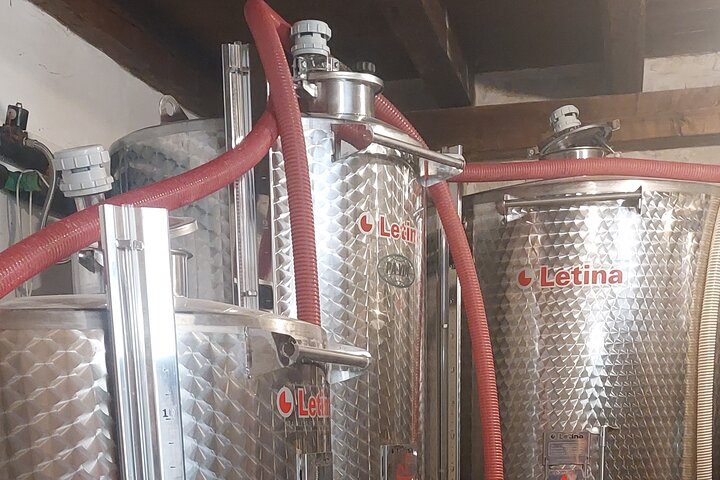 Korčula for Wine Lovers - Pošip and Grk Wines Private Tour