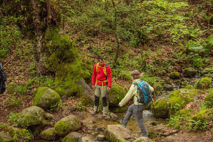 Meteora Small Group Hiking tour with Transfer and Monastery Visit