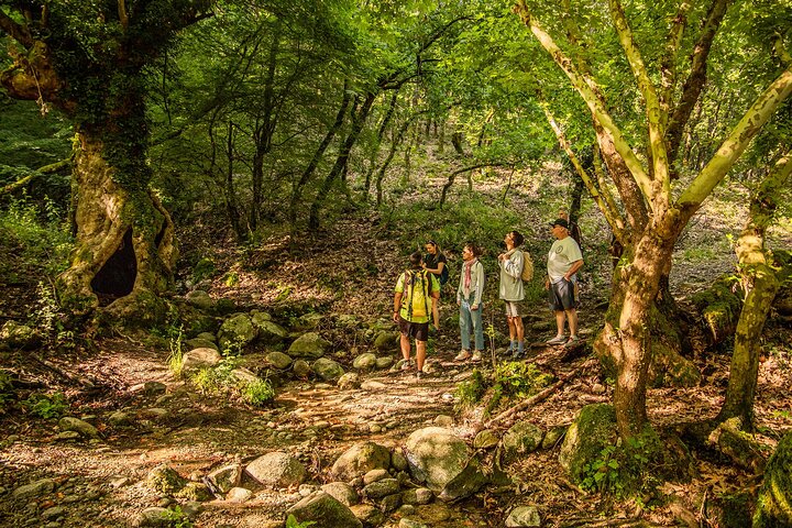 Meteora Small Group Hiking tour with Transfer and Monastery Visit