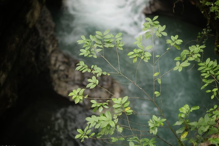 Private Canyon &Cave Tour from Batumi(Martvili,Okatse,Prometheus)