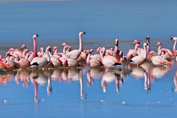 3-Day Salt Tour of Uyuni with Sunset and Lagoons Colorada