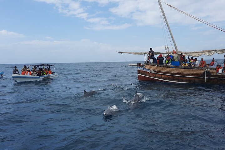 Full Day Dolphin Watching with Snorkeling in Wasini