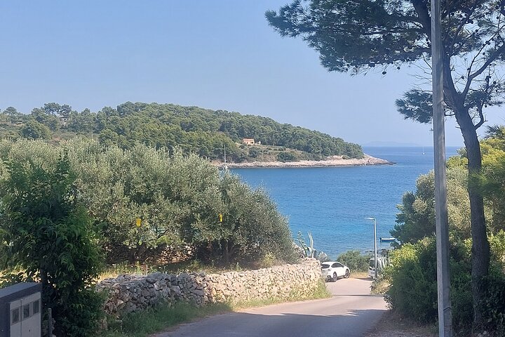 Korčula for Wine Lovers - Pošip and Grk Wines Private Tour