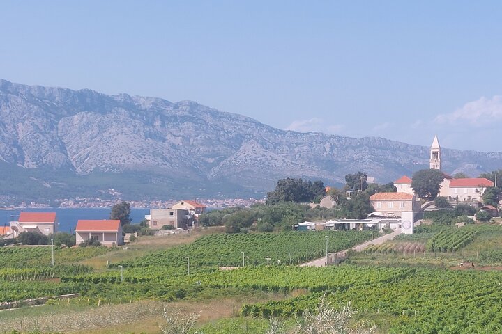 Korčula for Wine Lovers - Pošip and Grk Wines Private Tour