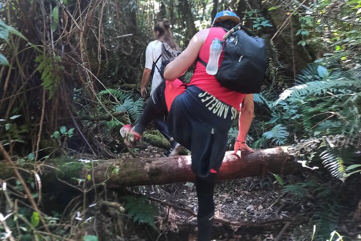 Bandung Tour Volcano, Hotsprings, Mud, Tea, Lunch all Included