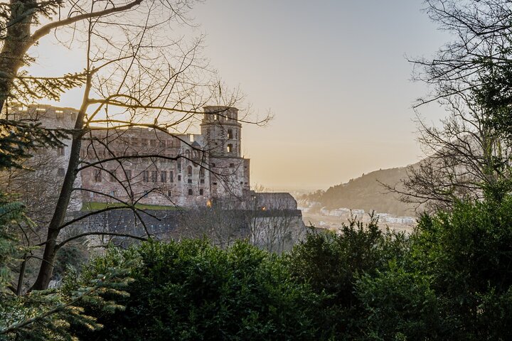 Heidelberg Castle and City Day Tour from Frankfurt