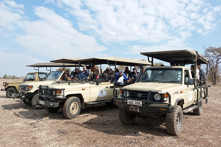 South Luangwa National Park Safari Game Drive