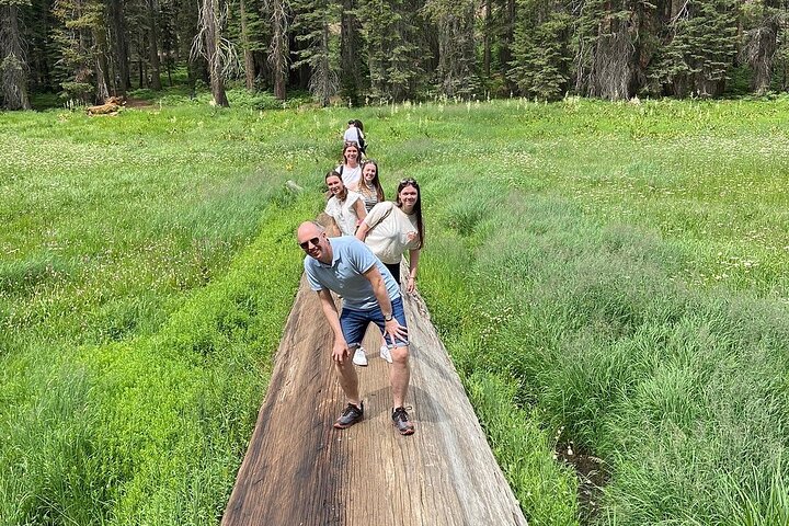 Sequoia National Park Small-Group Tour from Three Rivers