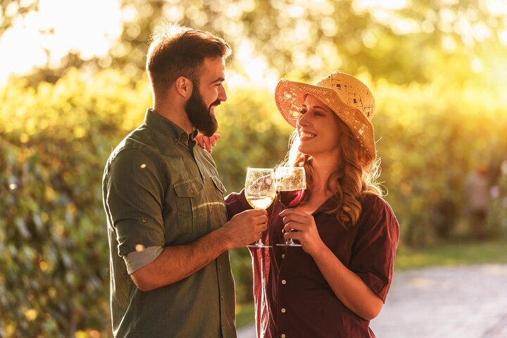 Private Vineyard Tour with Dinner Under the Stars in Karnas