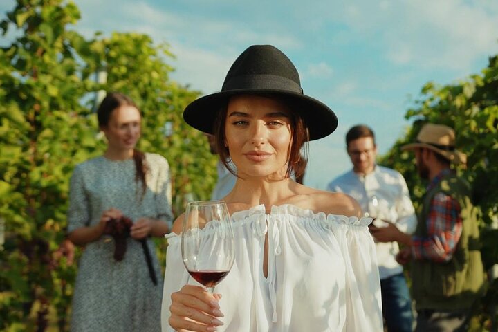 Private Vineyard Tour with Dinner Under the Stars in Karnas