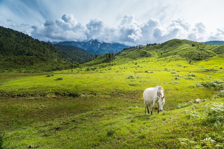 6-Day Megical Mechuka -Arunachal Pradesh Private Transport