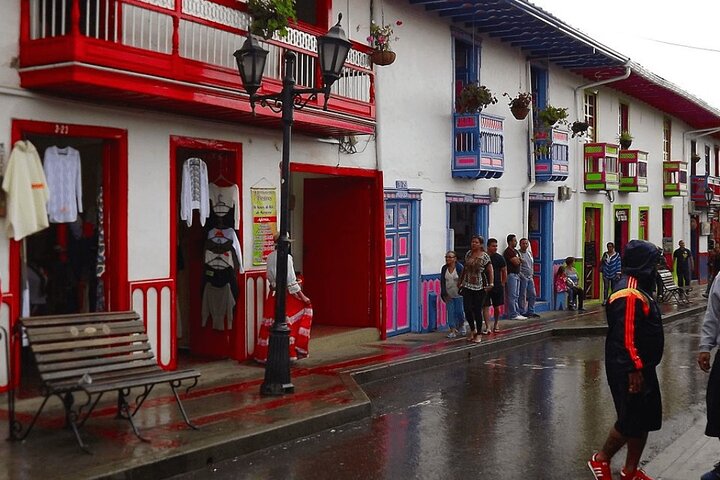 Full Day Private Tour to Valle del Cócora and Salento