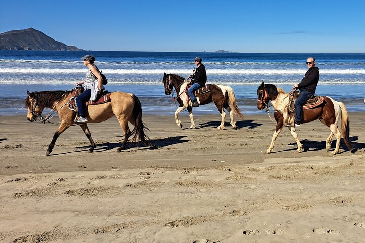 Horseback Riding on the Beach from Ensenada