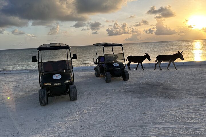 Golf Carts and Jeep Wrangler in Grand Turks