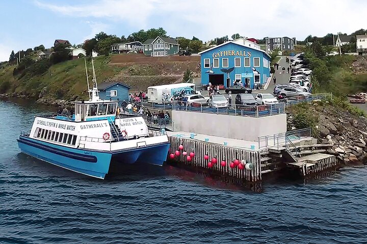 Late Season Puffin & Scenic Coastal Cruise