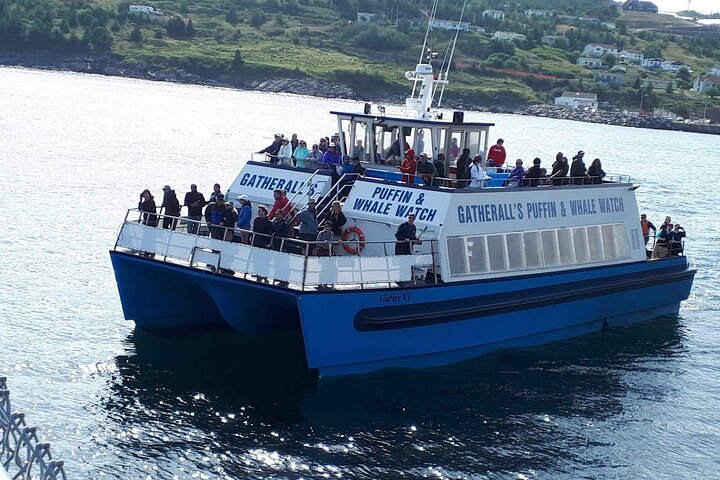Late Season Puffin & Scenic Coastal Cruise