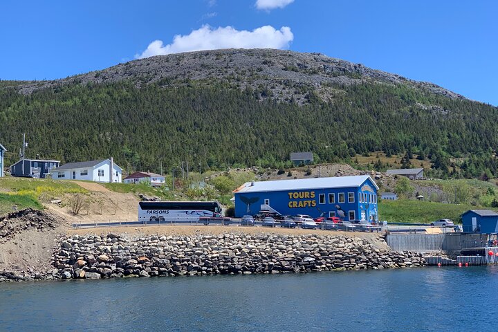 Late Season Puffin & Scenic Coastal Cruise