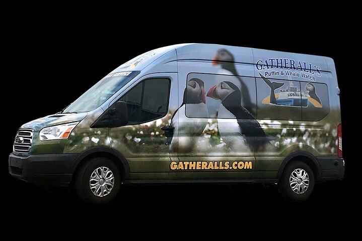 Late Season Puffin & Scenic Coastal Cruise