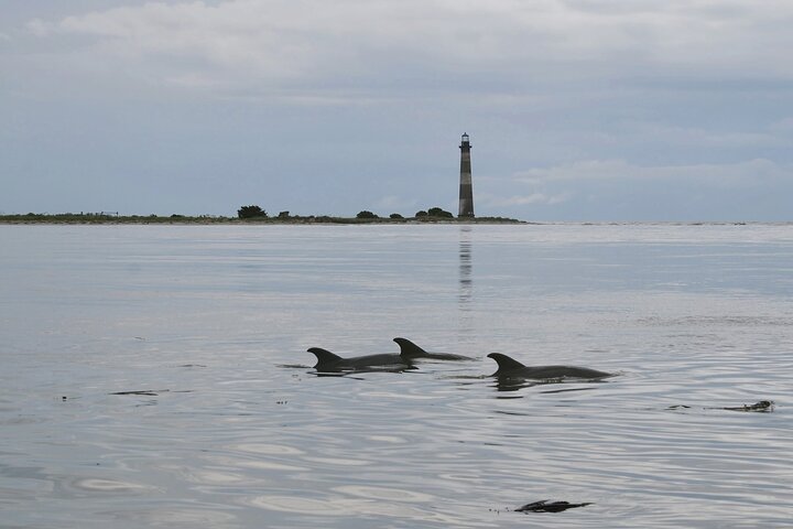 Charleston Eco Boat Cruise with stop at Morris Island Lighthouse