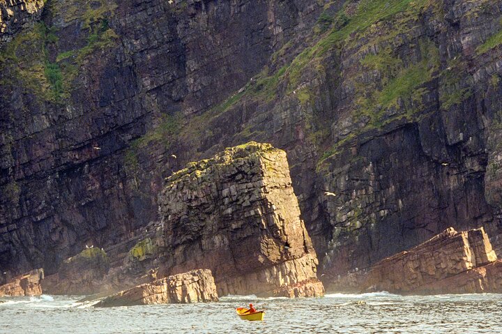 Late Season Puffin & Scenic Coastal Cruise
